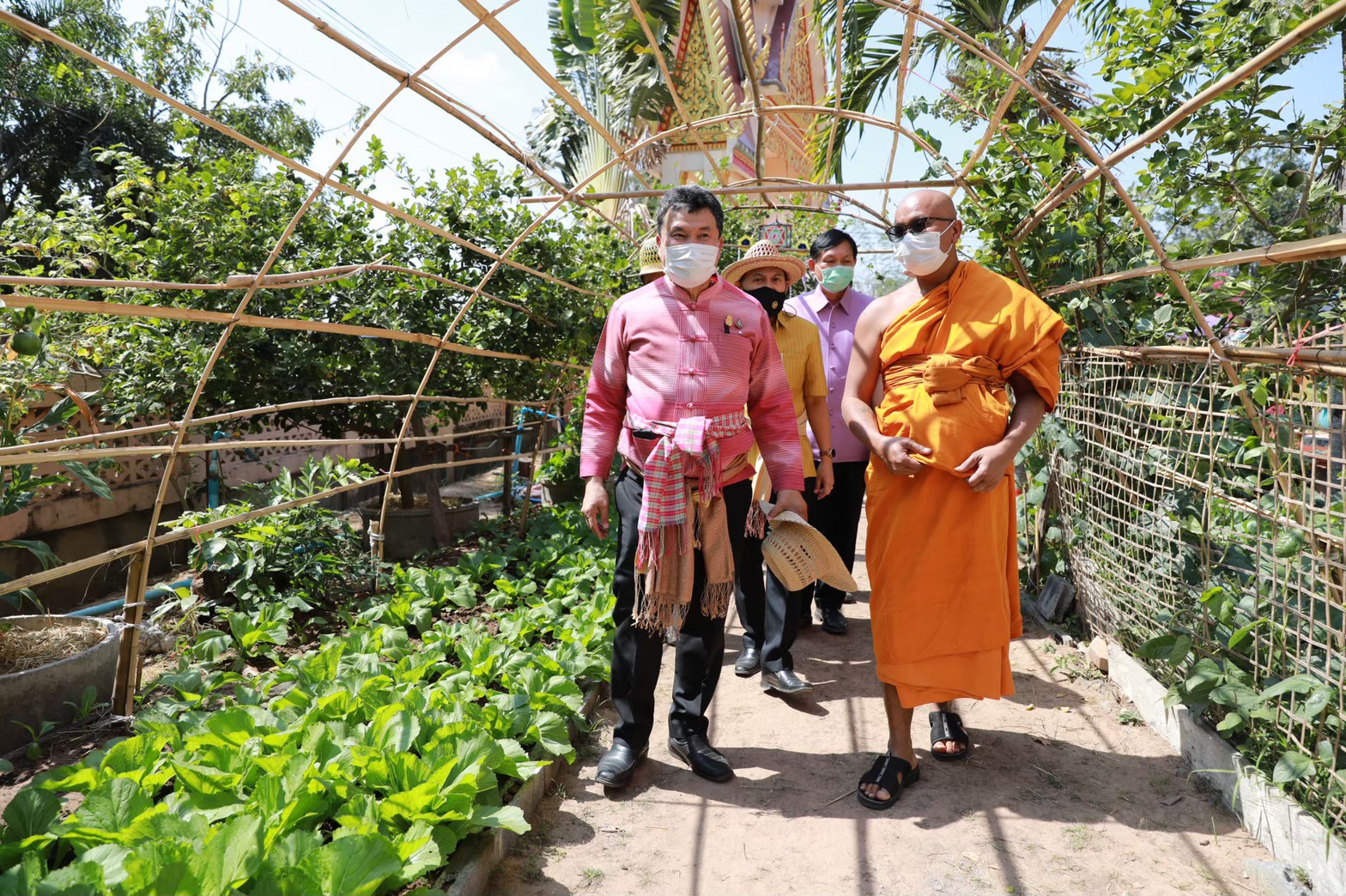 อธิบดีพช.เดินหน้าต่อรอบ 2 (ต่อเนื่อง) ชวนปลูกกระชาย-ฟ้าทลายโจร ขยายผลการดำเนินงานโครงการปลูกผักสวนครัว ด้วยพืชสมุนไพรไทย เพื่อป้องกันโควิด-19